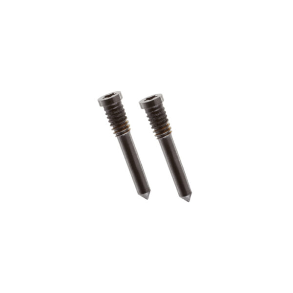 iPhone 13 Pro Max Bottom Screws Gold (2 pcs)